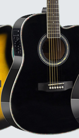 Raysen JY-G02 Semi Acoustic Guitar