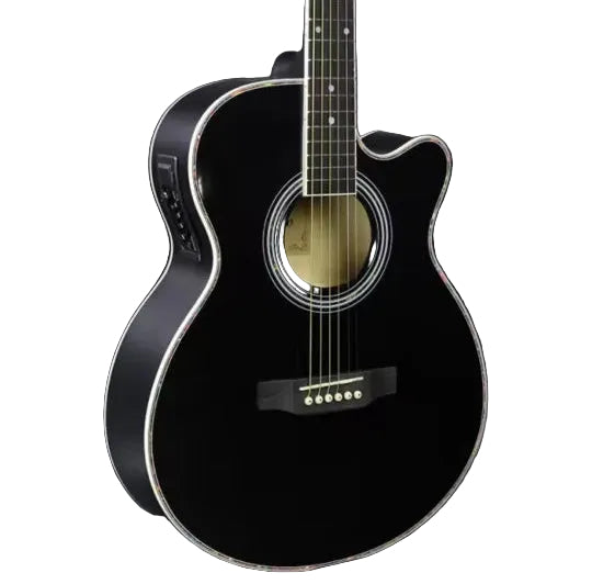 Raysen JY-G02 Semi Acoustic Guitar